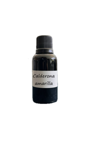 Calderona amarilla