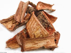 Cuachalalate - Image 2